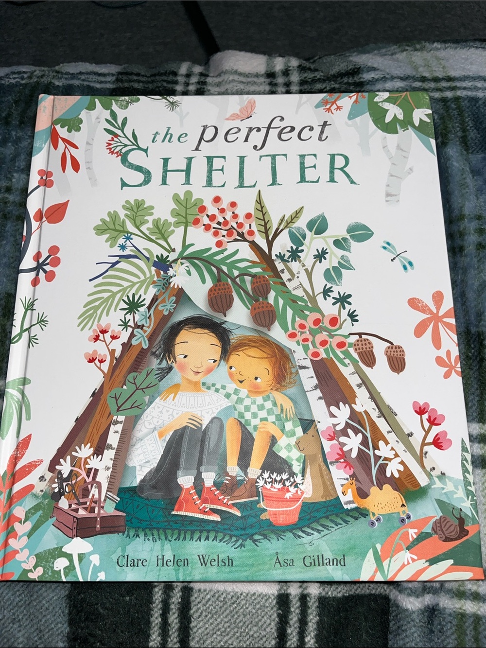 Usborne Kane Miller The Perfect Shelter Hardcover Book